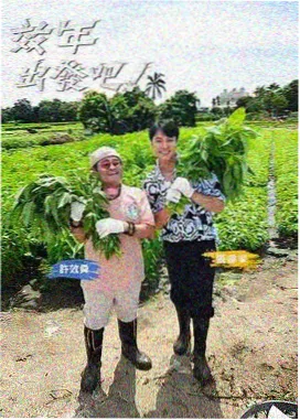 六夜影视综艺频道